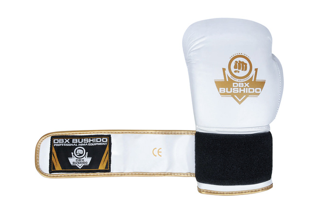 Boxing Gloves 10oz - Spirit - Valor Series