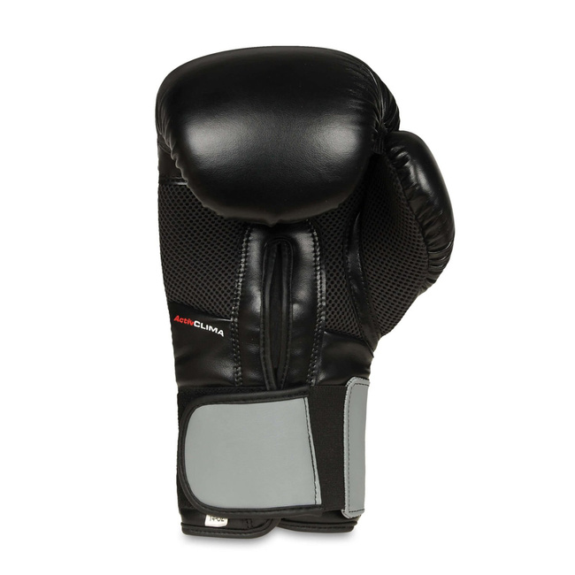 Training Boxing Gloves - Sparring - DBX-B-2v9 - 10 oz