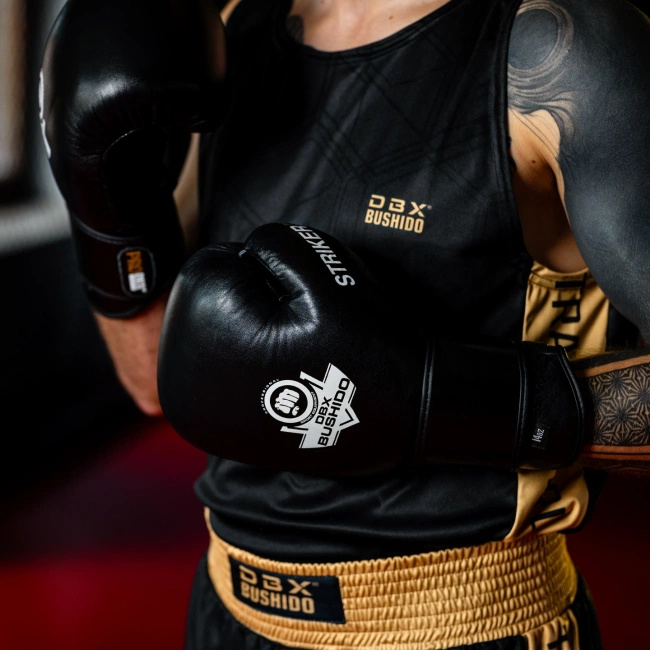 Boxing Gloves 12oz - Striker - Legacy Series