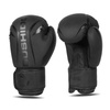 Boxing Gloves 12oz - Raptor - Origin Series