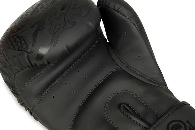 DBX BUSHIDO "Black Dragon" B-2v18 sparring boxing gloves 8oz