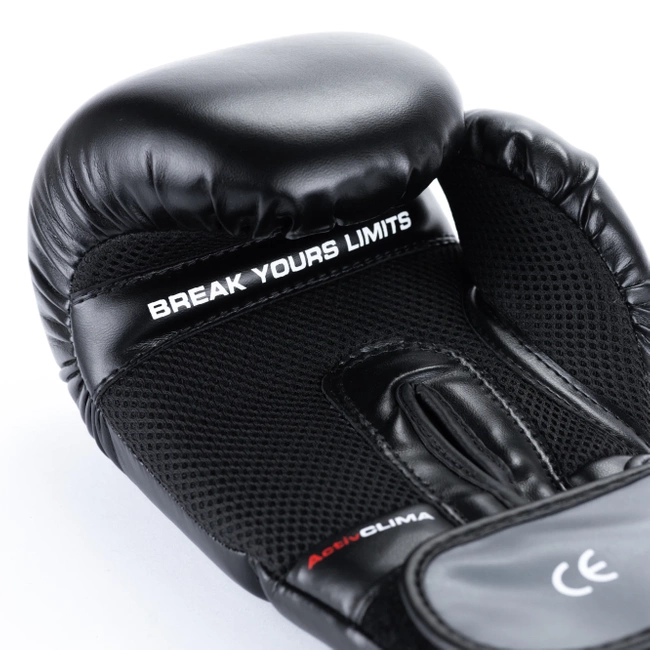 Training Boxing Gloves - Sparring - DBX-B-2v9 - 12 oz