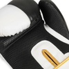 Undefeated Boxing Gloves B-2v16-10oz