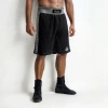 SILVER training boxing shorts