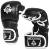 Master MMA gloves DBX BUSHIDO L