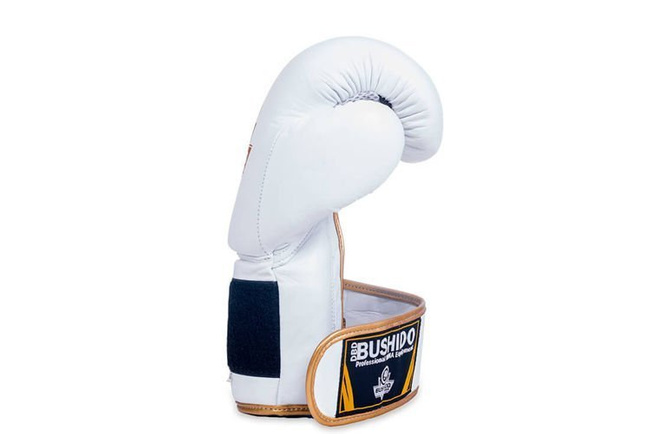 Boxing Gloves 12oz - Spirit - Valor Series