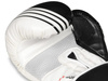 Boxing Gloves 10oz - Edge - Valor Series
