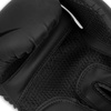 Boxing Gloves 12oz - Raptor - Origin Series