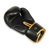 Sparring boxing gloves "HAWK" B-2v17 Active Clima 16 oz