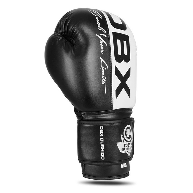 Boxing Gloves 12oz - Harmony - Valor Series