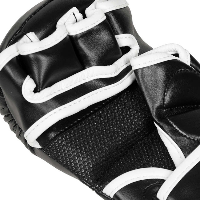 Master MMA gloves DBX BUSHIDO M