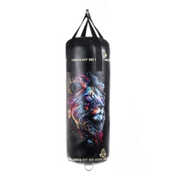 Kids’ Punching Bag – Leon – 65 cm / 8 kg