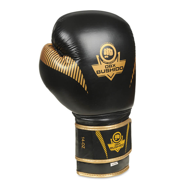 Boxing Gloves 12oz - Aureos - Valor Series