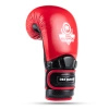 Warrior RED boxing gloves DBX BUSHIDO