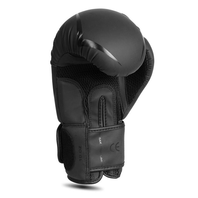 Raptor sparring boxing gloves - B-2v22 14 oz