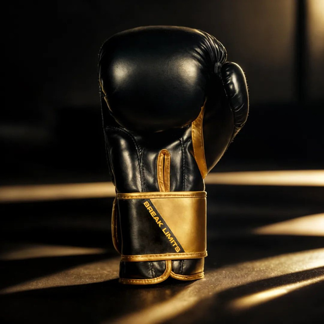 Boxing and sparring gloves B-2v10 8 oz