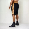 GOLD Boxing Shorts