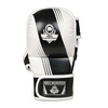 ARM-2011A MMA gloves DBX BUSHIDO L/XL