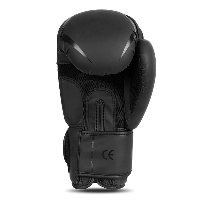 Boxing Gloves 12oz - Raptor - Origin Series