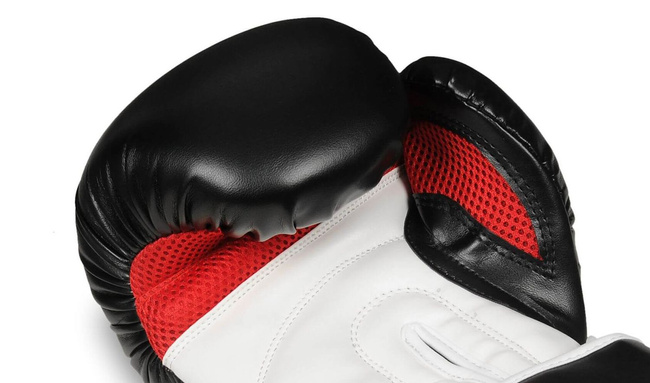 Boxing Gloves 12oz - Phantom White - Valor Series