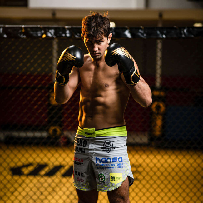 Boxing Gloves 10oz - Hawk - Origin Series