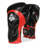 Boxing Gloves with Wrist Protect System BB4-10oz